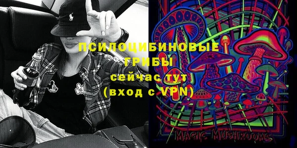 дмт Беломорск