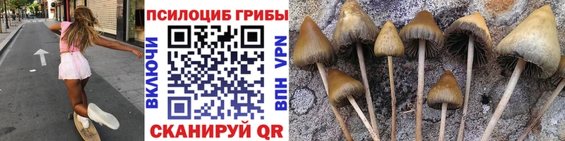 Галлюциногенные грибы мицелий  где купить наркотик  MEGA как войти  Афипский 