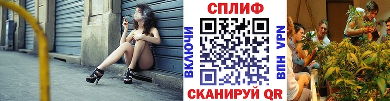 где купить наркотик  Афипский  Конопля сатива 